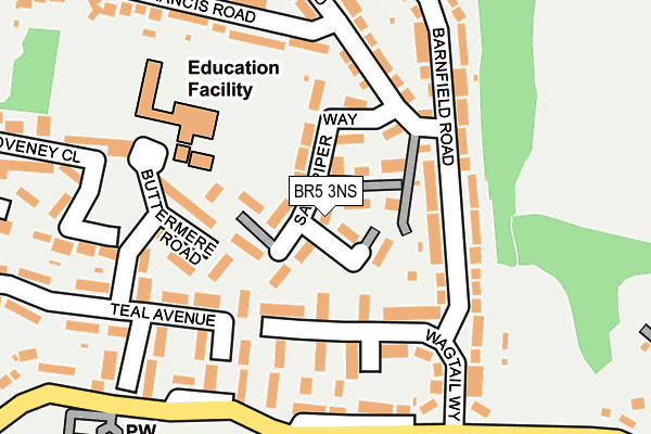 BR5 3NS map - OS OpenMap – Local (Ordnance Survey)