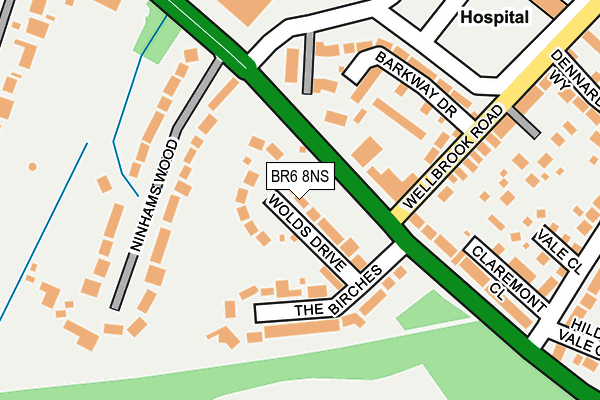 BR6 8NS map - OS OpenMap – Local (Ordnance Survey)