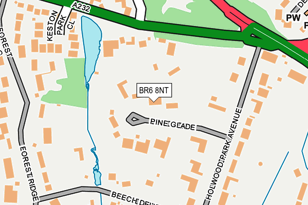 BR6 8NT map - OS OpenMap – Local (Ordnance Survey)