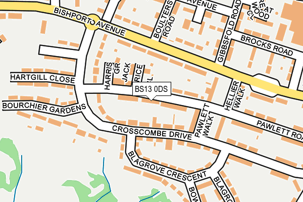 BS13 0DS map - OS OpenMap – Local (Ordnance Survey)