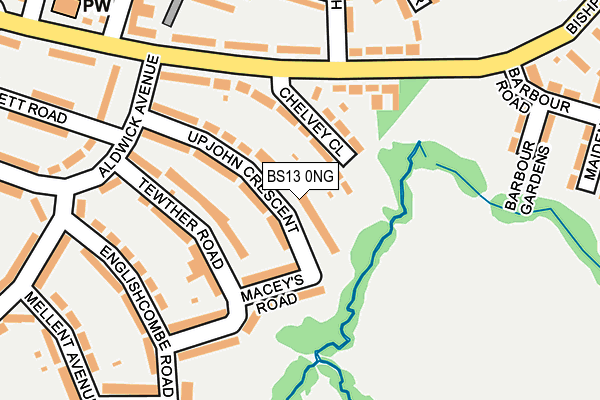 BS13 0NG map - OS OpenMap – Local (Ordnance Survey)