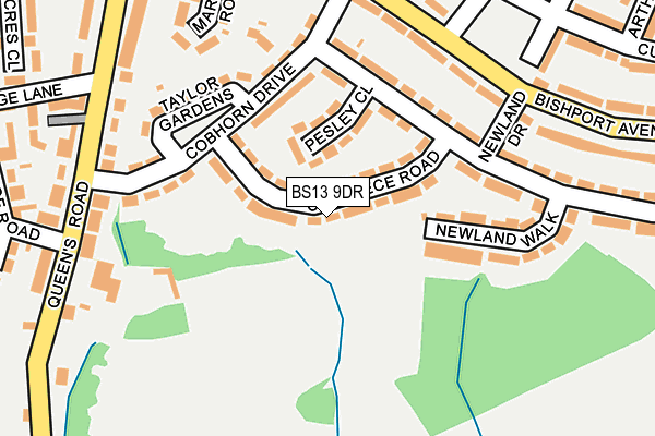 BS13 9DR map - OS OpenMap – Local (Ordnance Survey)