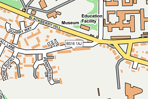 BS16 1AJ map - OS OpenMap – Local (Ordnance Survey)