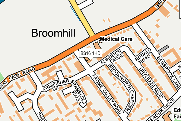 Map of BASTION PHARMACY LIMITED at local scale