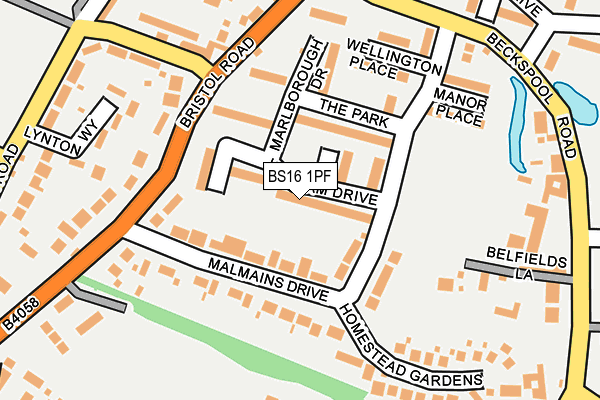 BS16 1PF map - OS OpenMap – Local (Ordnance Survey)