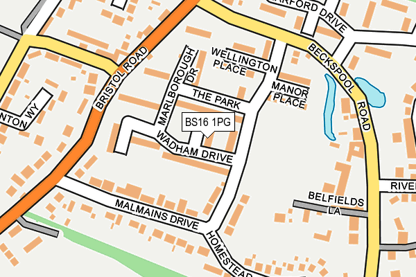 BS16 1PG map - OS OpenMap – Local (Ordnance Survey)