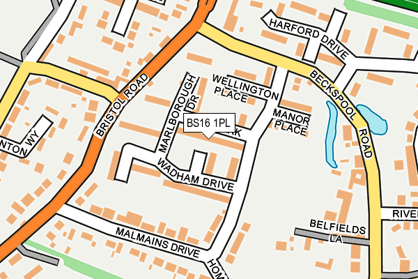 BS16 1PL map - OS OpenMap – Local (Ordnance Survey)