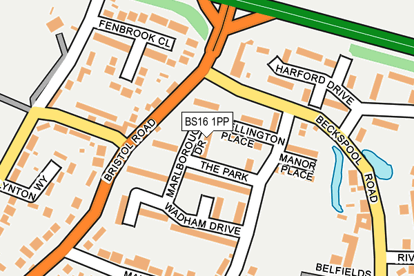 BS16 1PP map - OS OpenMap – Local (Ordnance Survey)