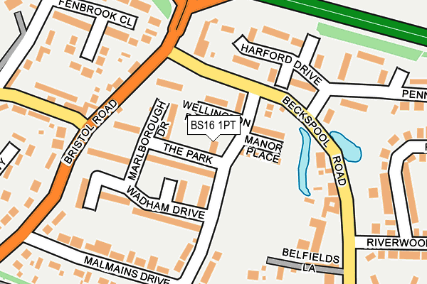 BS16 1PT map - OS OpenMap – Local (Ordnance Survey)