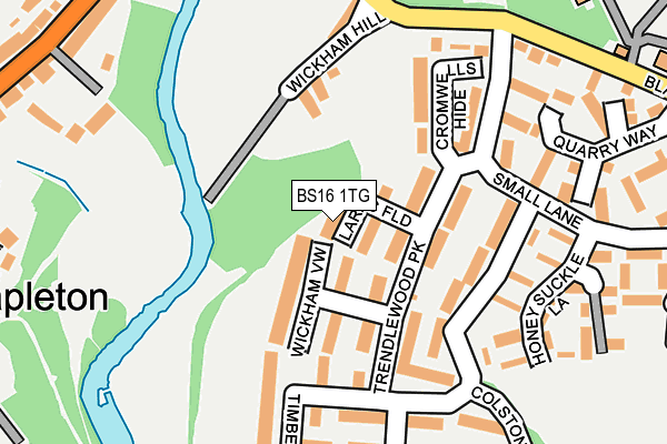 BS16 1TG map - OS OpenMap – Local (Ordnance Survey)