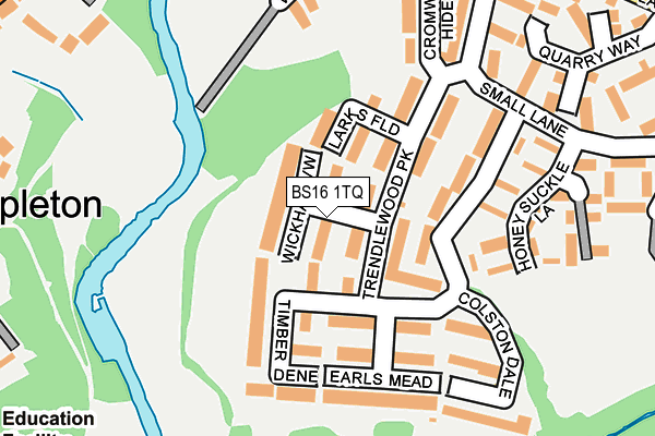 BS16 1TQ map - OS OpenMap – Local (Ordnance Survey)