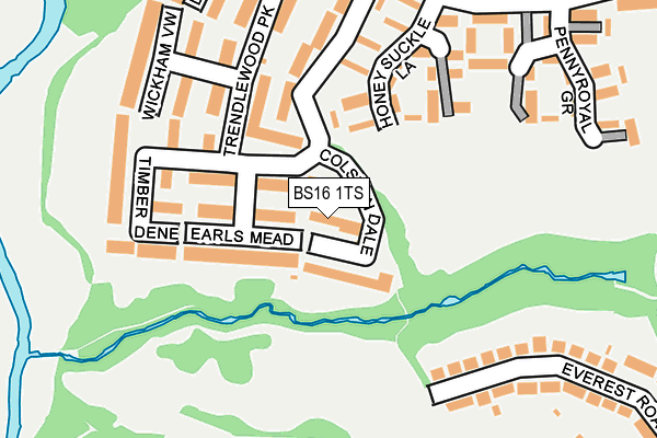 BS16 1TS map - OS OpenMap – Local (Ordnance Survey)
