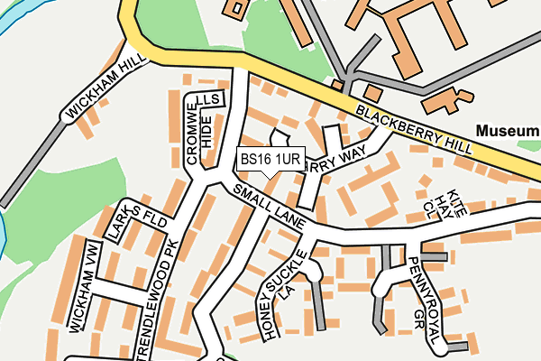 BS16 1UR map - OS OpenMap – Local (Ordnance Survey)
