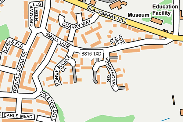 BS16 1XD map - OS OpenMap – Local (Ordnance Survey)