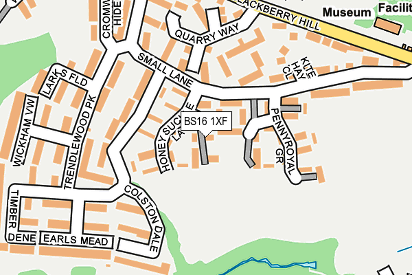 BS16 1XF map - OS OpenMap – Local (Ordnance Survey)