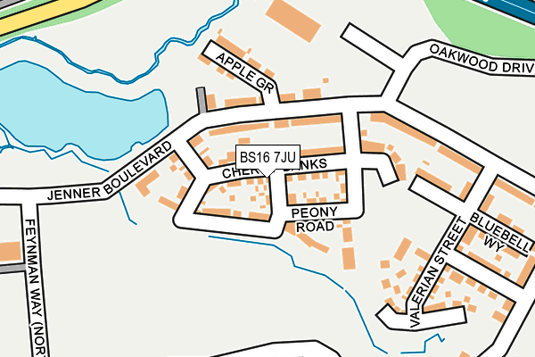 BS16 7JU map - OS OpenMap – Local (Ordnance Survey)