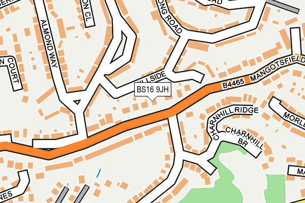 BS16 9JH map - OS OpenMap – Local (Ordnance Survey)