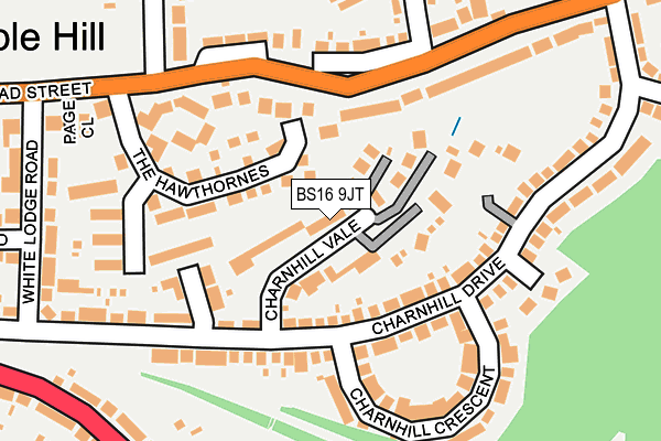BS16 9JT map - OS OpenMap – Local (Ordnance Survey)
