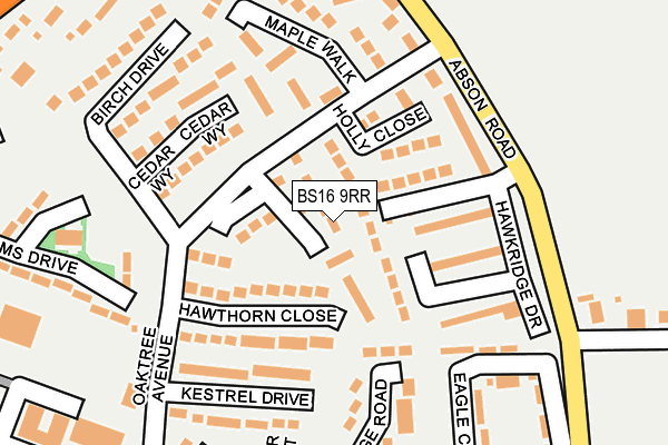 BS16 9RR map - OS OpenMap – Local (Ordnance Survey)