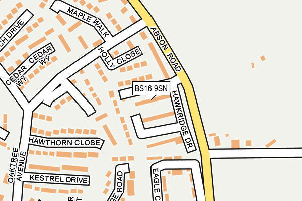BS16 9SN map - OS OpenMap – Local (Ordnance Survey)