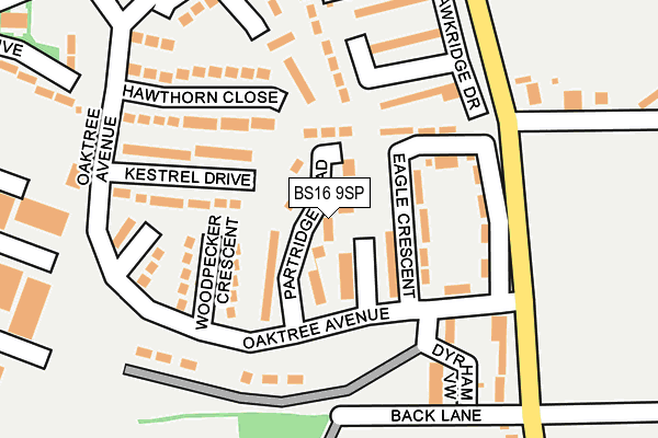 BS16 9SP map - OS OpenMap – Local (Ordnance Survey)