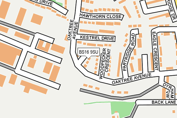BS16 9SU map - OS OpenMap – Local (Ordnance Survey)
