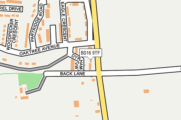 BS16 9TF map - OS OpenMap – Local (Ordnance Survey)