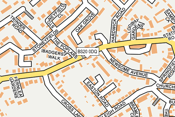 BS20 0DQ map - OS OpenMap – Local (Ordnance Survey)