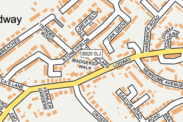 BS20 0LJ map - OS OpenMap – Local (Ordnance Survey)