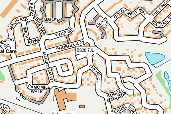 BS20 7JU map - OS OpenMap – Local (Ordnance Survey)