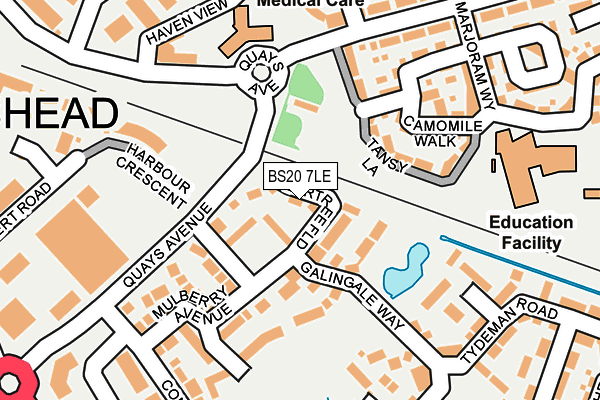 BS20 7LE map - OS OpenMap – Local (Ordnance Survey)