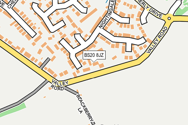 BS20 8JZ map - OS OpenMap – Local (Ordnance Survey)