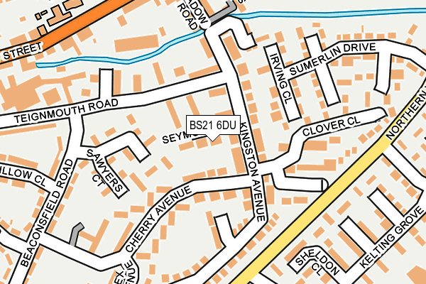 BS21 6DU map - OS OpenMap – Local (Ordnance Survey)
