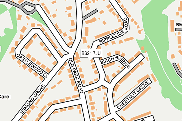BS21 7JU map - OS OpenMap – Local (Ordnance Survey)