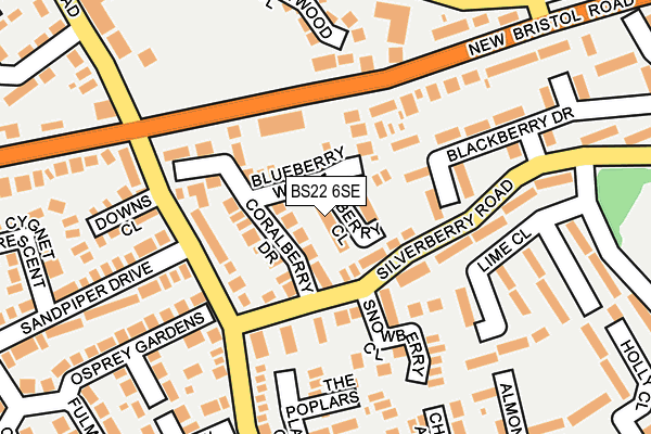 BS22 6SE map - OS OpenMap – Local (Ordnance Survey)