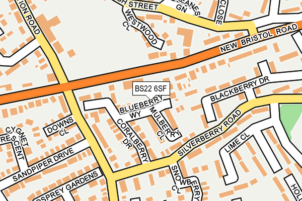 BS22 6SF map - OS OpenMap – Local (Ordnance Survey)