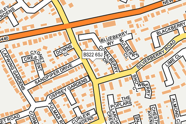 BS22 6SJ map - OS OpenMap – Local (Ordnance Survey)