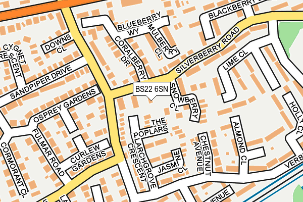 BS22 6SN map - OS OpenMap – Local (Ordnance Survey)