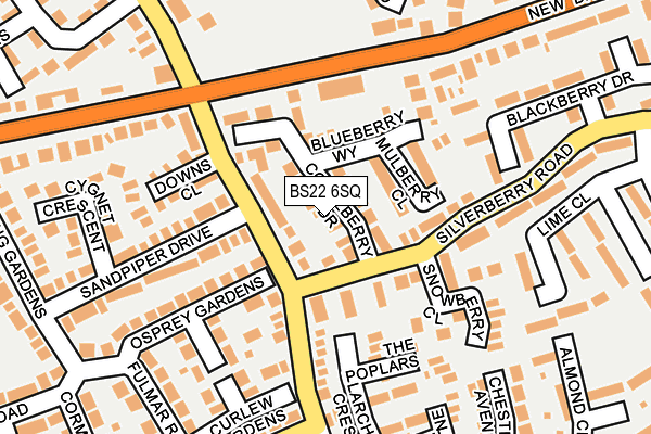BS22 6SQ map - OS OpenMap – Local (Ordnance Survey)