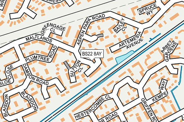 BS22 8AY map - OS OpenMap – Local (Ordnance Survey)