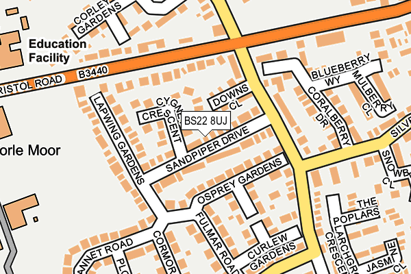 BS22 8UJ map - OS OpenMap – Local (Ordnance Survey)