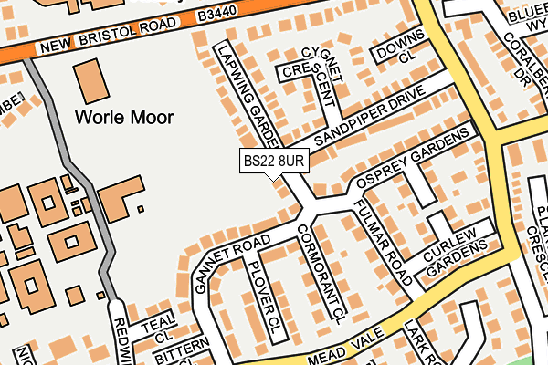 BS22 8UR map - OS OpenMap – Local (Ordnance Survey)