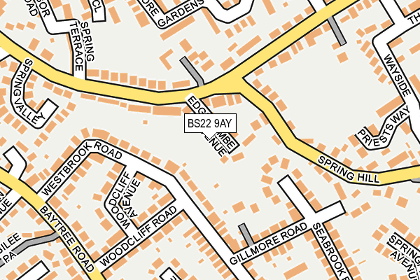 BS22 9AY map - OS OpenMap – Local (Ordnance Survey)