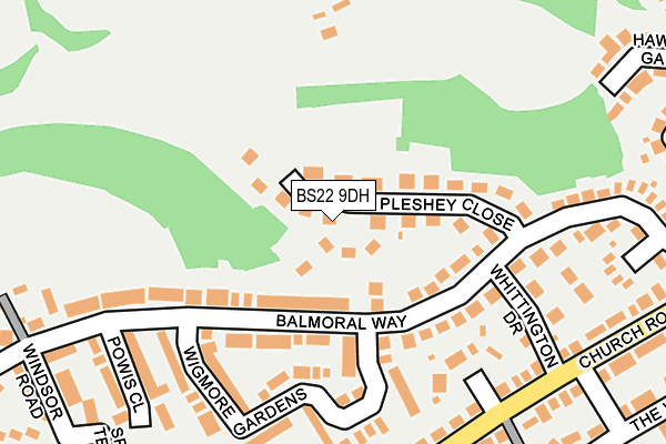 BS22 9DH map - OS OpenMap – Local (Ordnance Survey)