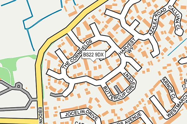 BS22 9DX map - OS OpenMap – Local (Ordnance Survey)