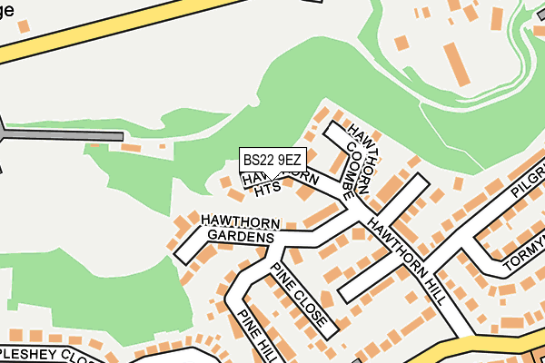 BS22 9EZ map - OS OpenMap – Local (Ordnance Survey)