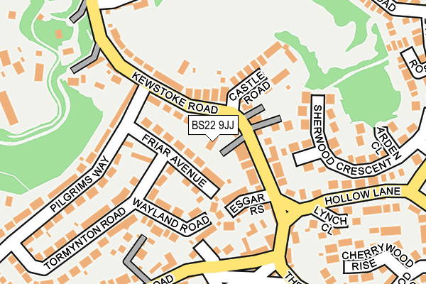 BS22 9JJ map - OS OpenMap – Local (Ordnance Survey)