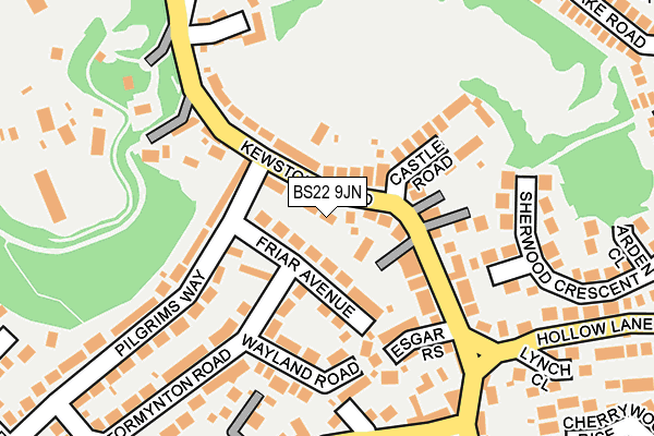 BS22 9JN map - OS OpenMap – Local (Ordnance Survey)
