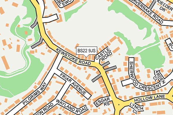 BS22 9JS map - OS OpenMap – Local (Ordnance Survey)