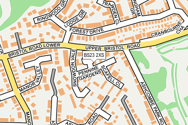 BS23 2XS map - OS OpenMap – Local (Ordnance Survey)